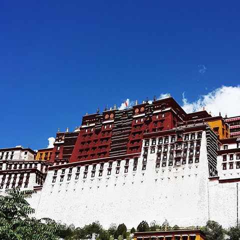 tibet-5.jpg